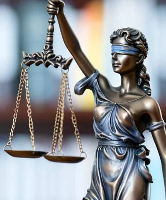 vidhikarya is a best law firm in INDIA