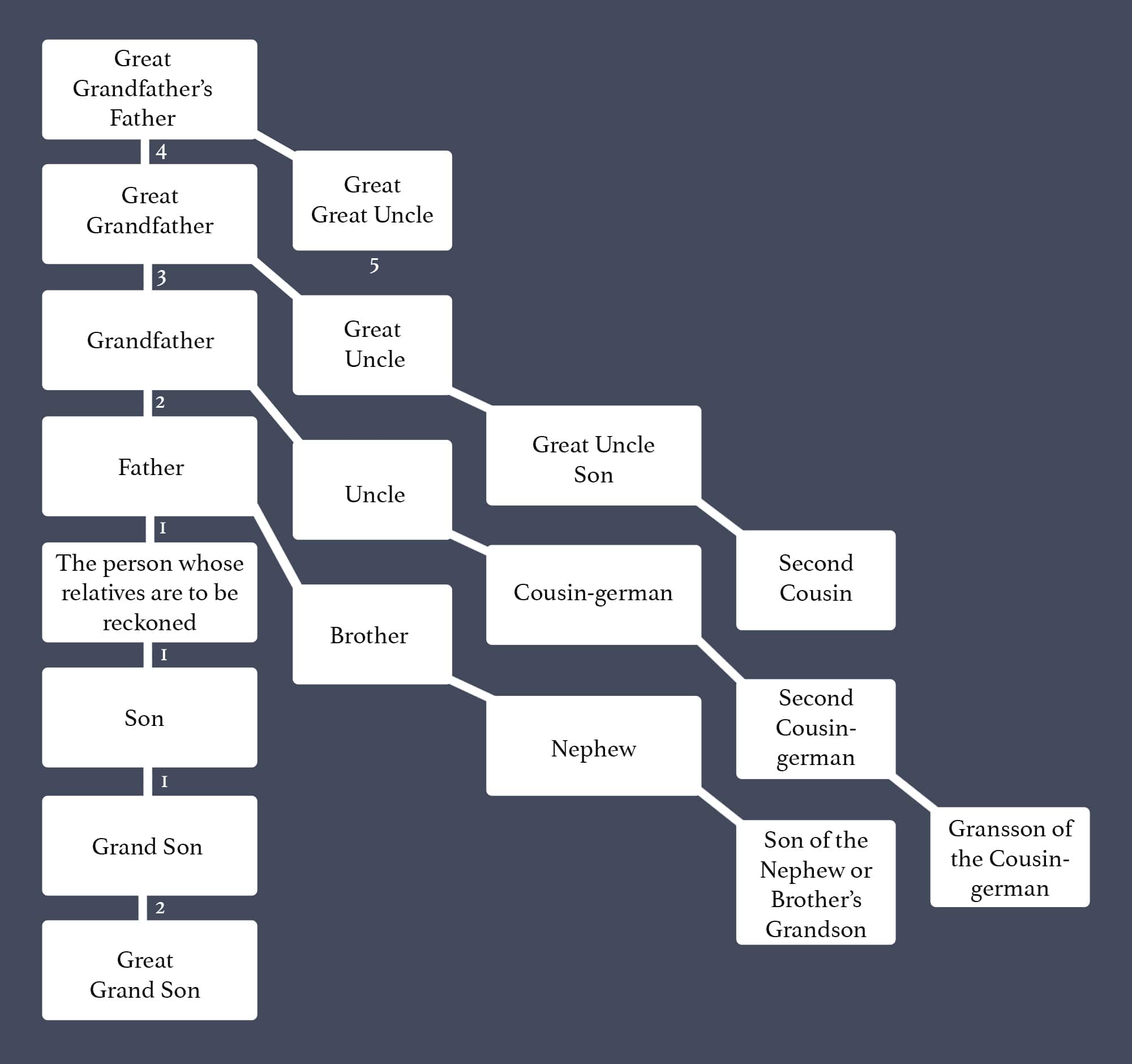 consanguinity Tree - Hindus