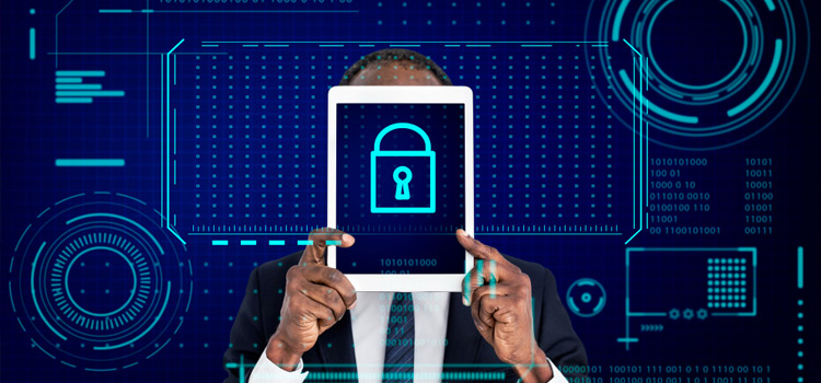 Navigating India's Data Protection Maze: Privacy Laws Decoded
