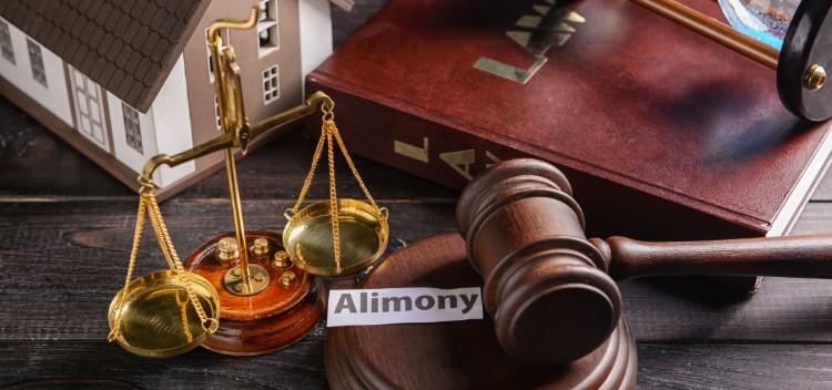 Alimony vs Maintenance:  <span>Decoding Financial Settlements in Indian Divorce Laws</span>