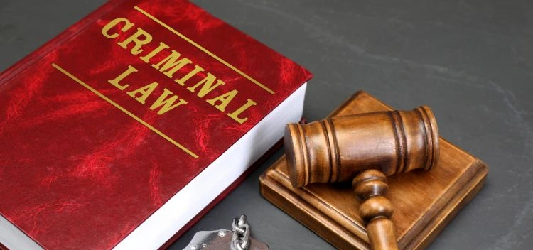 Criminal Justice System in India