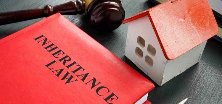 Inheritance Rights Of Grandchildren In India