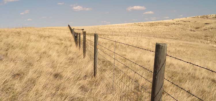 Land Partition