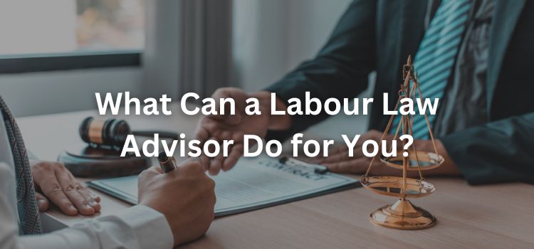 What Can a Labour Law Advisor Do for You?