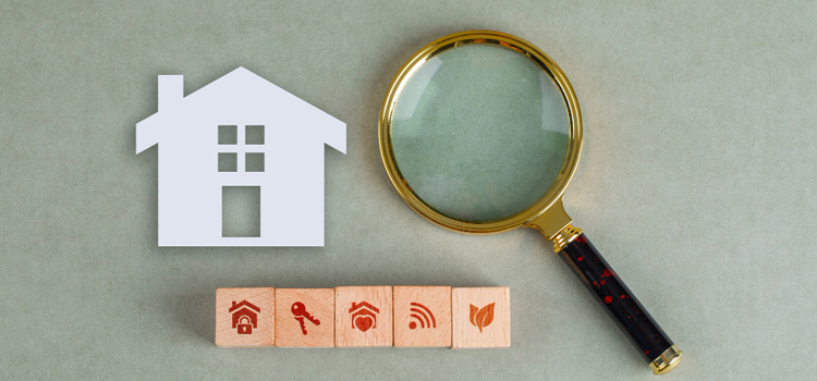 Legal Verification of Property: Legal Mastery Legal Verification of Property: Legal Mastery