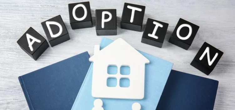 Understanding Adoption Laws in India: A Complete Guide for Prospective Parents