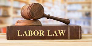 Compliance under Labour and Employment Law