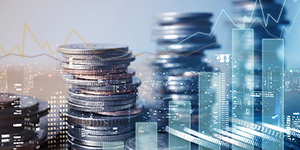 Foreign Direct Investment (FDI)